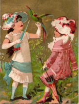 Newman Bros Organ Victorian Trade Card Two Girls With A Parrot - £15.79 GBP