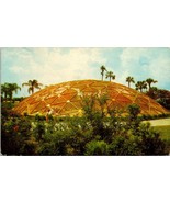 Geodesic Dome Anheuser Busch Gardens Tampa Florida FL vintage postcard VTG - £3.12 GBP