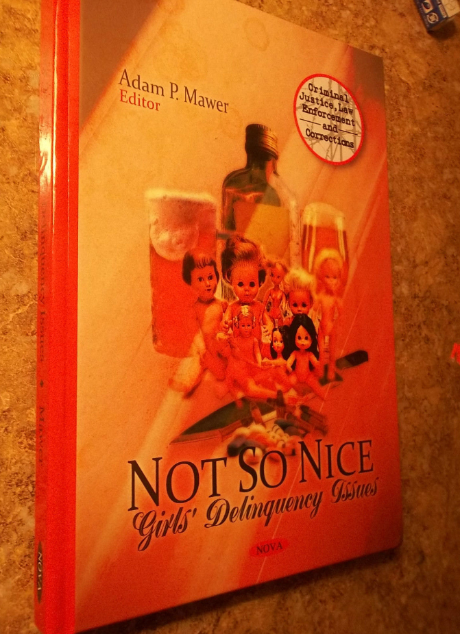 Criminal Justice, Law Enforcement and Corrections Ser.: Not So Nice : Gi... - $79.19