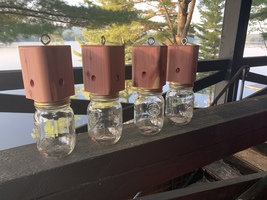 4 Red Cedar Carpenter bee traps - $54.23 CAD