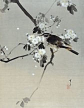 Art Bird Flowering Branch. Oriental Oil Painting Giclee Print Canvas - £6.75 GBP+