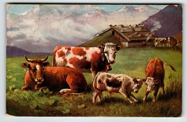 Postcard Cows Barn Animals Rustic Mountains Wildlife HKM Serie 228 Germany 1907 - £9.17 GBP