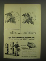 1951 Ethyl Gas Ad - There&#39;s a big difference between a collie and a cauliflower - £14.45 GBP