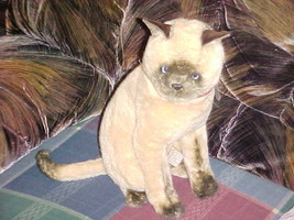 14&quot; Avanti Siamese Plush Stuffed Cat Toy By Jockline Italy 1987 - £59.34 GBP