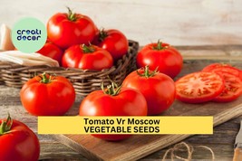 Tomato VR Moscow Seeds – 100mg for Planting, Heirloom Variety, Rich Flav... - $9.84 CAD