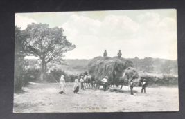 VTG 1910s In The Hay Field Wagon w/ Hay Pile Postcard Williamson Haffner Co - £7.42 GBP