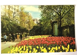  Vintage 1970&#39;s Postcard, Embankment Gardens in London UK ✉️ clean &amp; unposted - £1.95 GBP