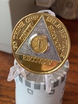 1 Year AA Medallion Bi-plate Gold Nickel Plated Sobriety Chip Serenity P... - $274.20 MXN