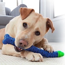 Dog Molar Stick Food Grade Silicone BPA Free Bone Shape Dog Tooth Cleaning  - £9.46 GBP