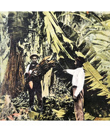 1940s Culling Bananas Postcard Fruit Farming Panama Central America E99D - $762.79 MXN