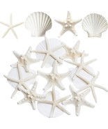 JQAQJU 3 4 Inches Large Starfish and Scallop Shells for Crafts 12PCS Nat... - $40.30 CAD