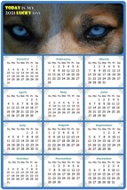 2022 Magnetic Calendar - Today is My Lucky Day - Dogs Themed 03 (5.25 x 8) - £7.81 GBP