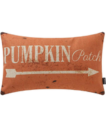 Pumpkin Patch Decorative Throw Pillow Cover 20X12 Inch Rustic Fall Decor... - $386.74 MXN
