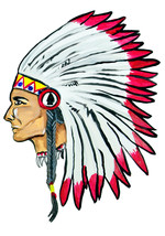 Big Indian Chief Head Sticker Decal Home Office Dorm Wall Exclusive Art Tablet - £5.54 GBP+