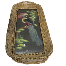 Bird Feather Art Wicker Framed Trinket Tray 17 in Tall Made in Mexico Vi... - £10.99 GBP
