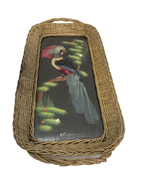 Bird Feather Art Wicker Framed Trinket Tray 17 in Tall Made in Mexico Vi... - $13.95