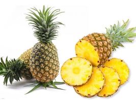 Sweet Grandissimo Gold Pineapple, 10 Seeds 2023 Ananas Comosus - £14.78 GBP