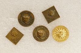 Vintage BSA Boy Scouts Cub Scouts Pins Summertime Award Bobcat Wolf - $10.88