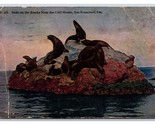 Seal Rocks Near Cliff House San Francisco California CA DB Postcard C20 - £1.54 GBP