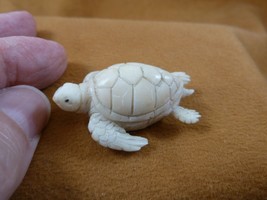 (tb-turt-26) detailed Sea Turtle TAGUA NUT palm figurine Bali coral reef turtles - £29.13 GBP