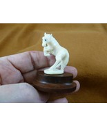 (tb-horse-2) rearing wild Horse Tagua NUT palm figurine Bali love horses - $91.91 CAD