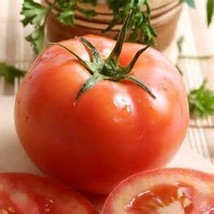 Rugged Boy Tomato Seeds 25 Seed Pack ,Organic, Usa Product. Packed By Jacobs Lad - £1.96 GBP