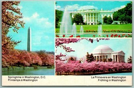 Multiview Springtime in Washington DC UNP Unused Chrome Postcard H14 - £5.71 GBP