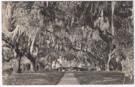 Postcard Murrells Inlet South Carolina Brookgreen Gardens Live Oak Walk Entrance - £3.04 GBP