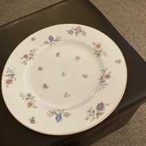 Franconia-Krautheim Fleurettes Dinner Plate 152096 - £6.76 GBP