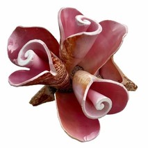 Hand Carved CONCH Shell Pink FLOWERS Bouquet Sea Shell Beach Souvenir Roses - £28.87 GBP