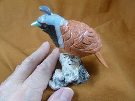 (Y-BIR-QU-48) Quail tan blue black bird gemstone STONE figurine Peru quails - $818.37 MXN