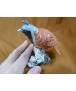 (Y-BIR-QU-48) Quail tan blue black bird gemstone STONE figurine Peru quails - $818.37 MXN