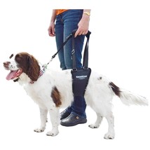 GINGERLEAD Dog Sling Hip Support Harness, SM Male fits Small to Medium Size Pets - £23.82 GBP