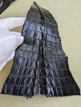 Genuine Crocodile (NON Caiman) Tail Skin Piece Remnant 6x16&quot; - $18.81