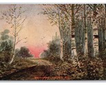 Birch Grove Catskill Mountains New York NY UNP DB Postcard H30 - $5.89