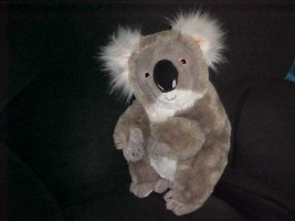 14&quot; Steiff Koala Bear Plush Toy With Number 060816 Very Nice - £118.54 GBP