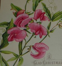 1800&#39;s Victorian Christmas Card With Pink Sweet Peas and Greeting  - $4.16