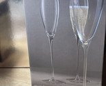 LSA International Wine Champagne Flutes  160ml Clear Set of 2 - $79.95