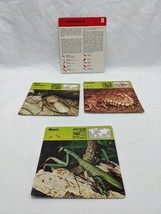 Lot Of (3) 1975 Rencontre Arthropods III Education Cards - $12.38