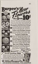 1942 Print Ad Burpee&#39;s Flower Seeds Marigolds,Zinnias W.Atlee Burpee Phi... - $8.98