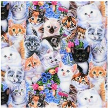 Fat Quarter - Kittens Cats Animals 18&quot; x 21&quot; Precut Cotton Fabric Piece M203.18 - £3.27 GBP