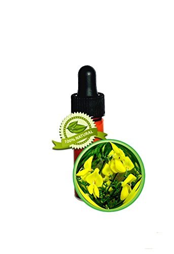 Broom (Genet) Absolute Essential Oil - 100% Pure Spartium junceum - 1 Dram (3.7m