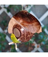 Coconut Shell Birdhouses for small pets like birds, sugars or Home Decor... - £37.85 GBP