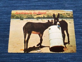 Vintage Postcard Unused Lunchtime on the Desert Donkey Humor Petley   ~688A - £3.92 GBP