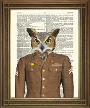 ARMY OWL PRINT: Vintage Bird in Military Uniform, Dictionary Wall Hanging Art - £6.30 GBP