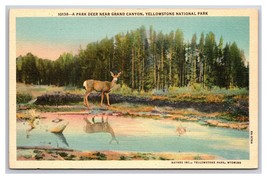 Park Deer Haynes Yellowstone National park WY UNP Linen Postcard N25 - £2.36 GBP