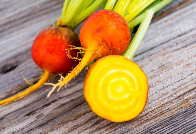 30 Seeds Burpee&#39;S Golden Beet Beta Vulgaris Yellow Root Vegetable Fresh Garden - £15.97 GBP