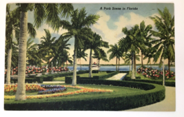 A Park Scene In Florida Tropical Beach Sea side  Vintage Linen Post Card - £4.82 GBP