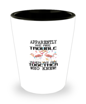 Shot Glass Tequila Party Funny Apparently We Are trouble when we are together  - £19.77 GBP
