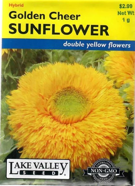 Sunflower Golden Cheer Non Gmo Flower Seeds Lake Valley 12/24 Fresh New - £6.89 GBP